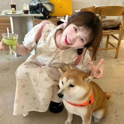 柳堡的故事